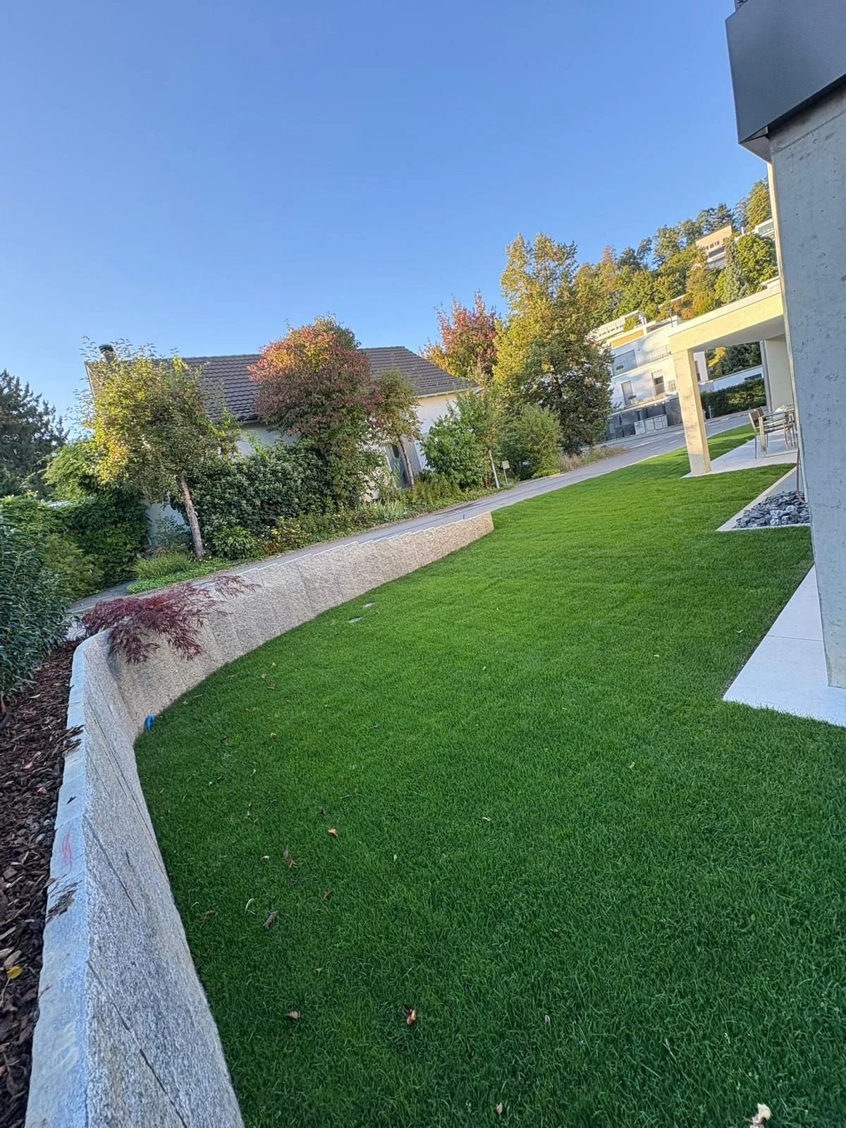 Rasenfläche mit geschwungener heller Gartenmauer