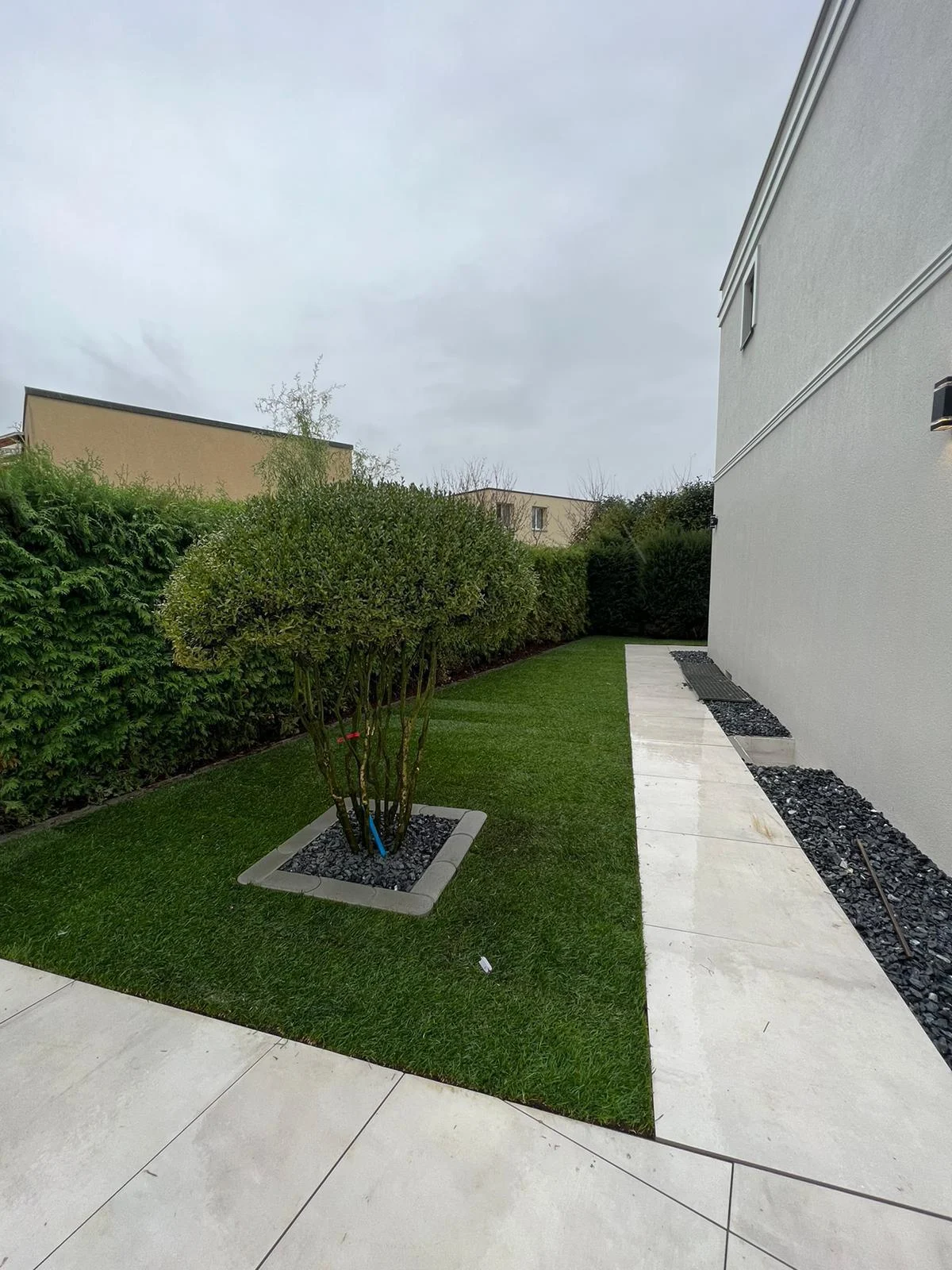 Rasengarten mit hellem Plattenweg