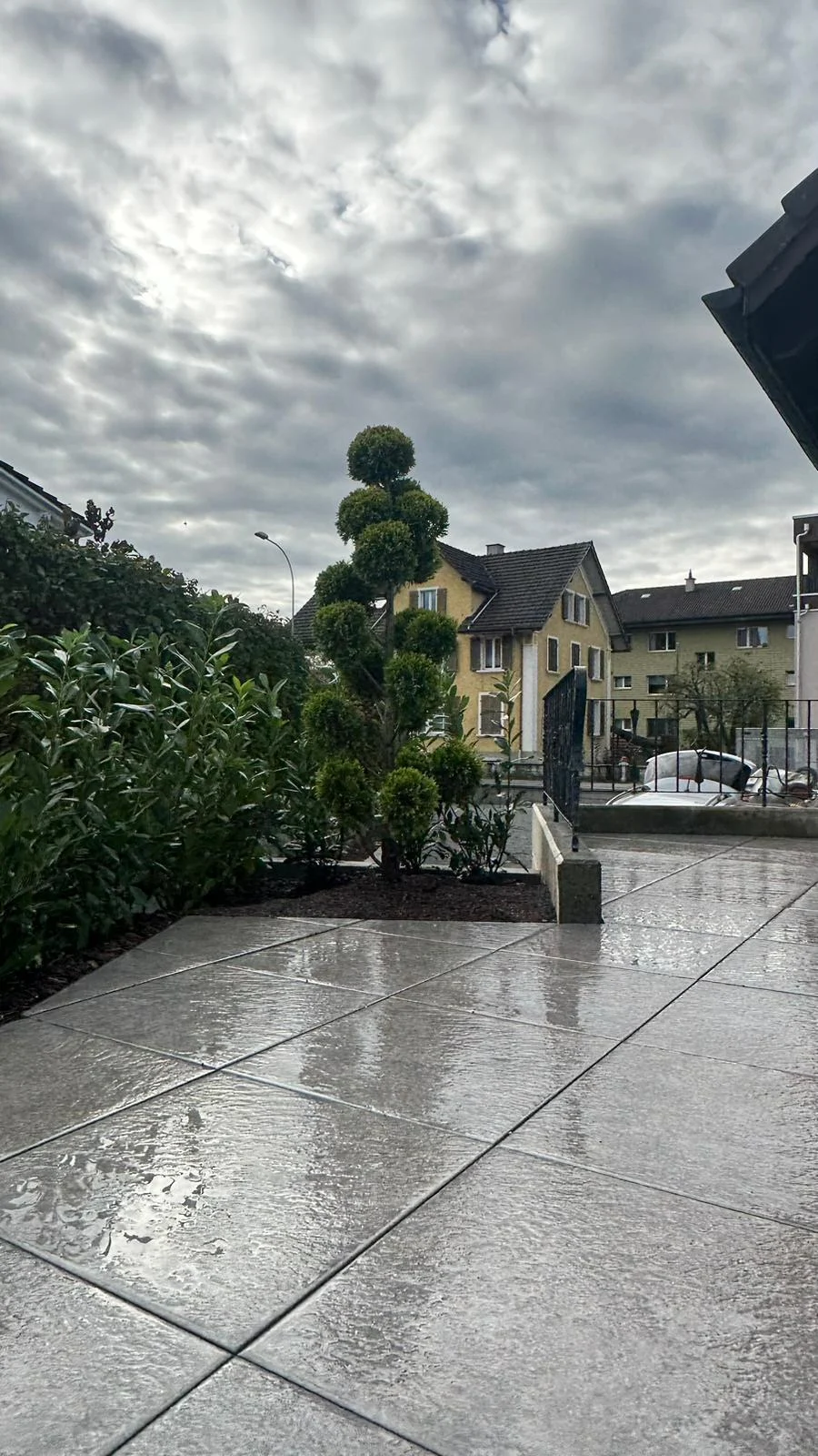 Graue Plattenfläche mit Formschnittgehölz