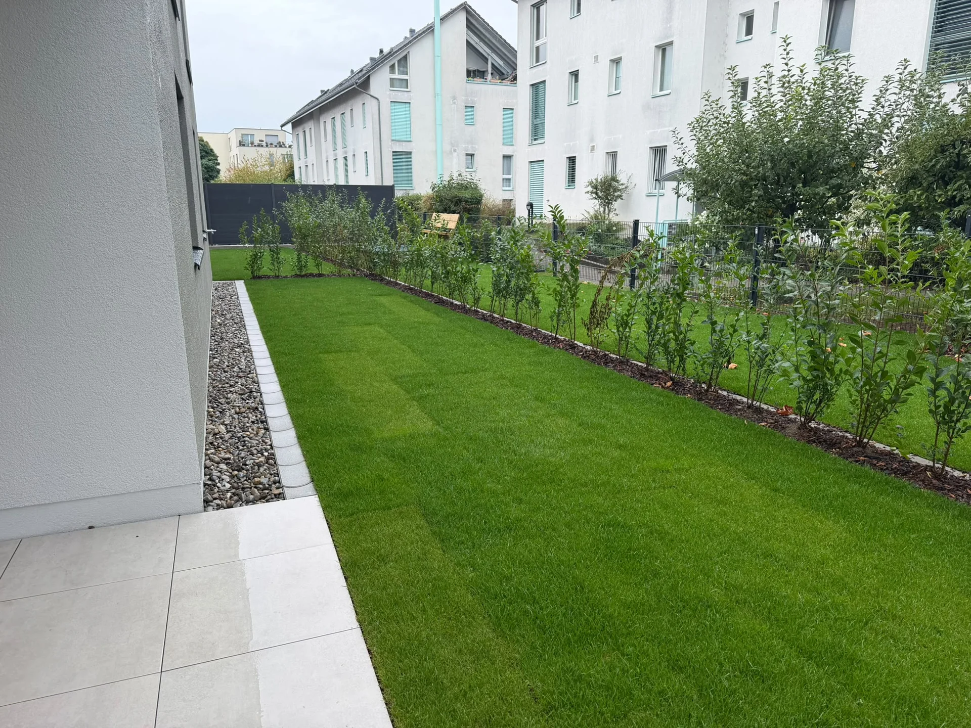 Zwischen Haus und junger Heckenreihe liegt eine Rasenfläche, die an eine helle Terrasse und einen eingefassten Kiesstreifen anschliesst.